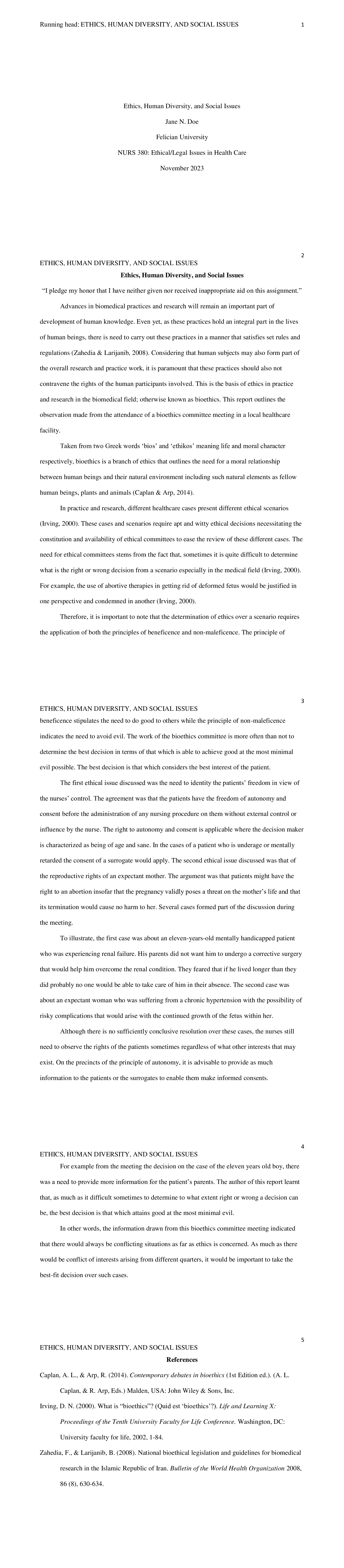 apa nursing paper example