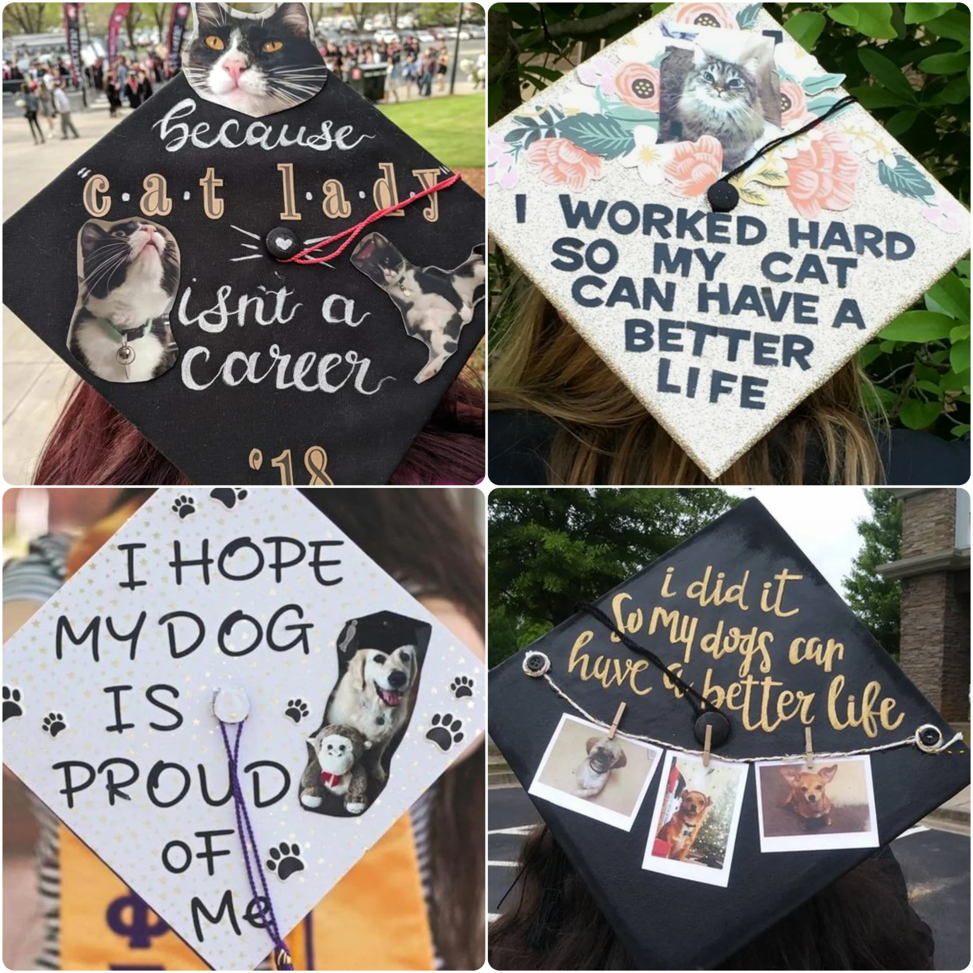 grad caps ideas